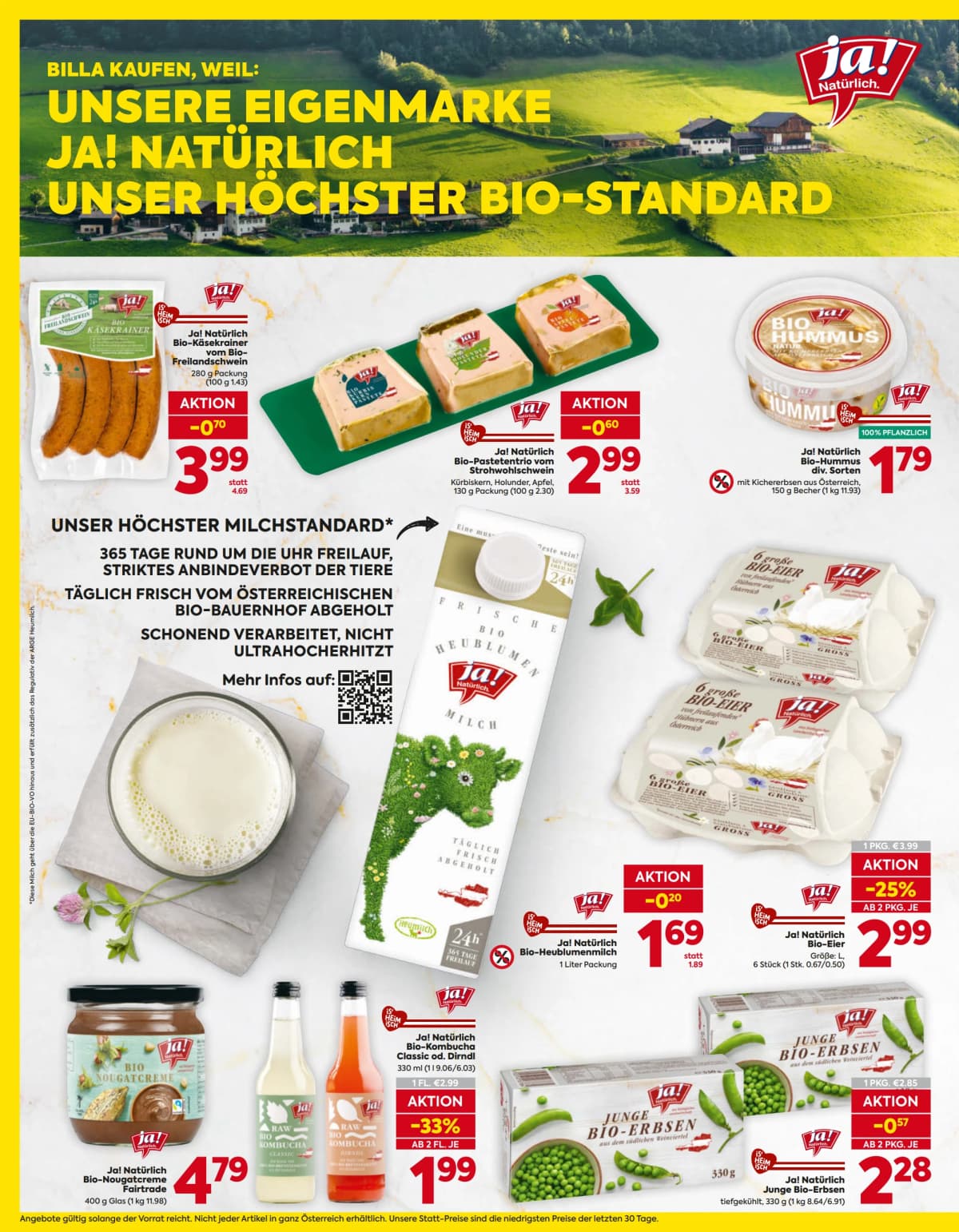 Seite 8 des Billa Flugblatts – Aktuelle Angebote