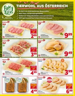 Seite 5 des Billa Prospekts Aktuelle Angebote