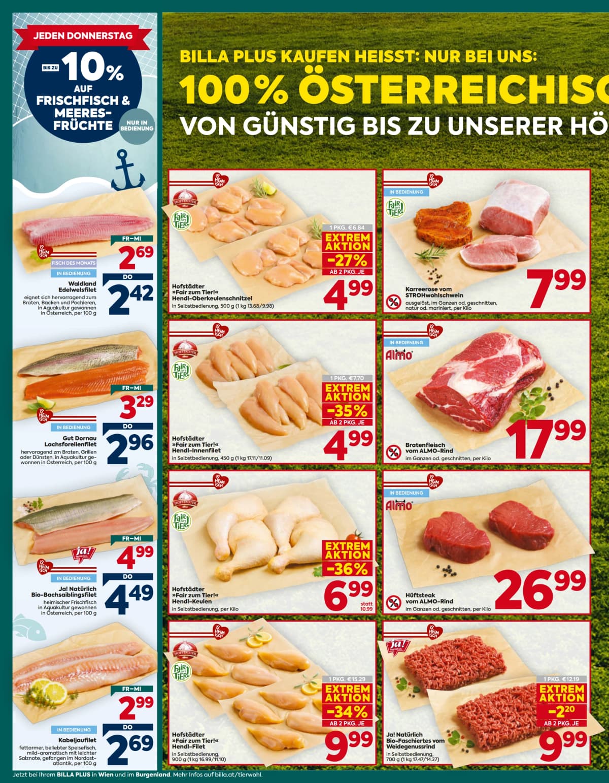 Seite 6 des Billa Plus Flugblatts – Aktuelle Angebote