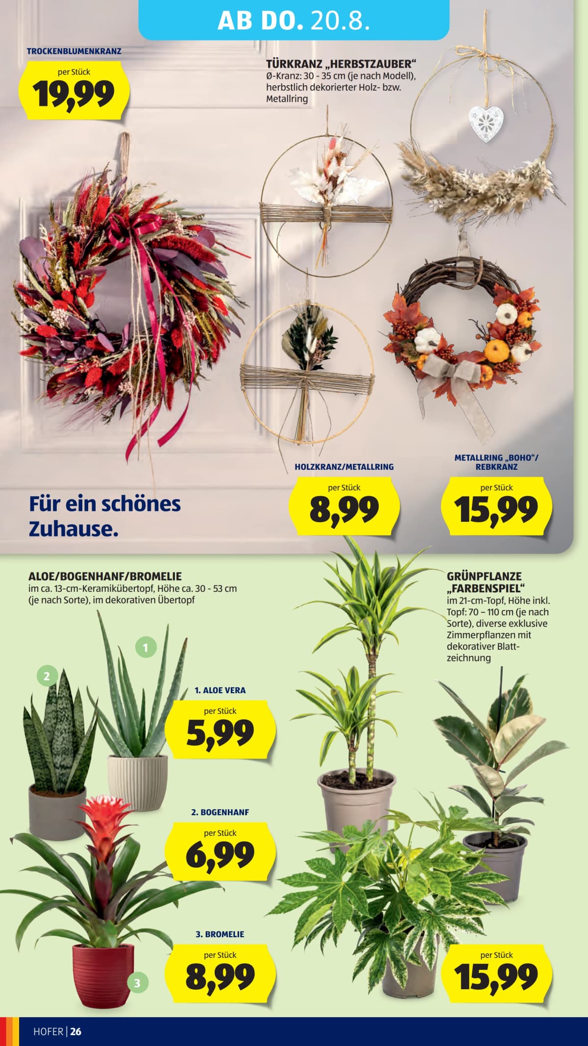 Seite 40 des Hofer Flugblatts – Aktuelle Angebote ab 23.08.2026.