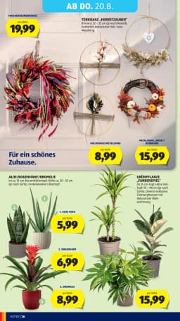 Seite 40 des Hofer Prospekts Aktuelle Angebote