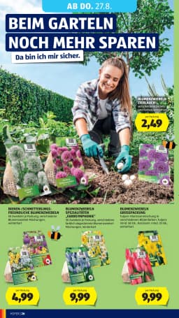 Seite 38 des Hofer Prospekts Aktuelle Angebote