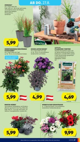 Seite 39 des Hofer Prospekts Aktuelle Angebote