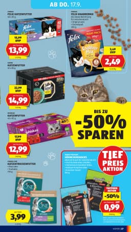 Seite 37 des Hofer Prospekts Aktuelle Angebote