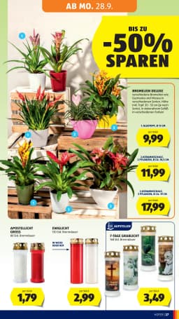 Seite 35 des Hofer Prospekts Aktuelle Angebote