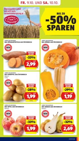 Seite 11 des Hofer Prospekts Aktuelle Angebote