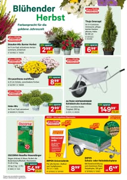 Seite 2 des Lagerhaus Prospekts Aktuelle Angebote