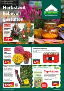 Titelblatt des Lagerhaus Prospekts Aktuelle Angebote