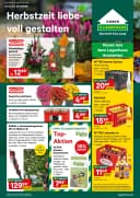 Titelblatt des Lagerhaus Prospekts Aktuelle Angebote