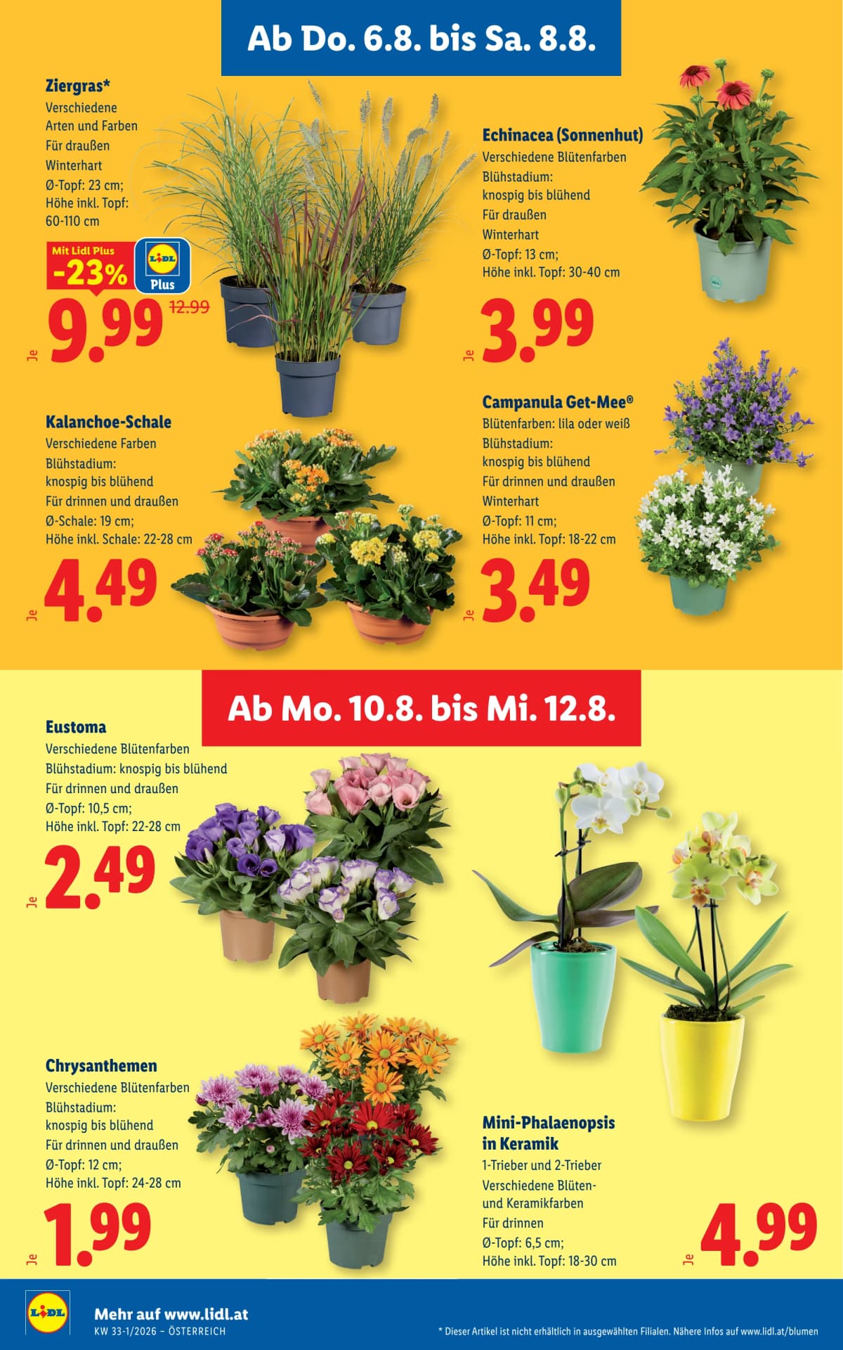 Seite 30 des Lidl Flugblatts – Aktuelle Angebote ab 23.08.2026.