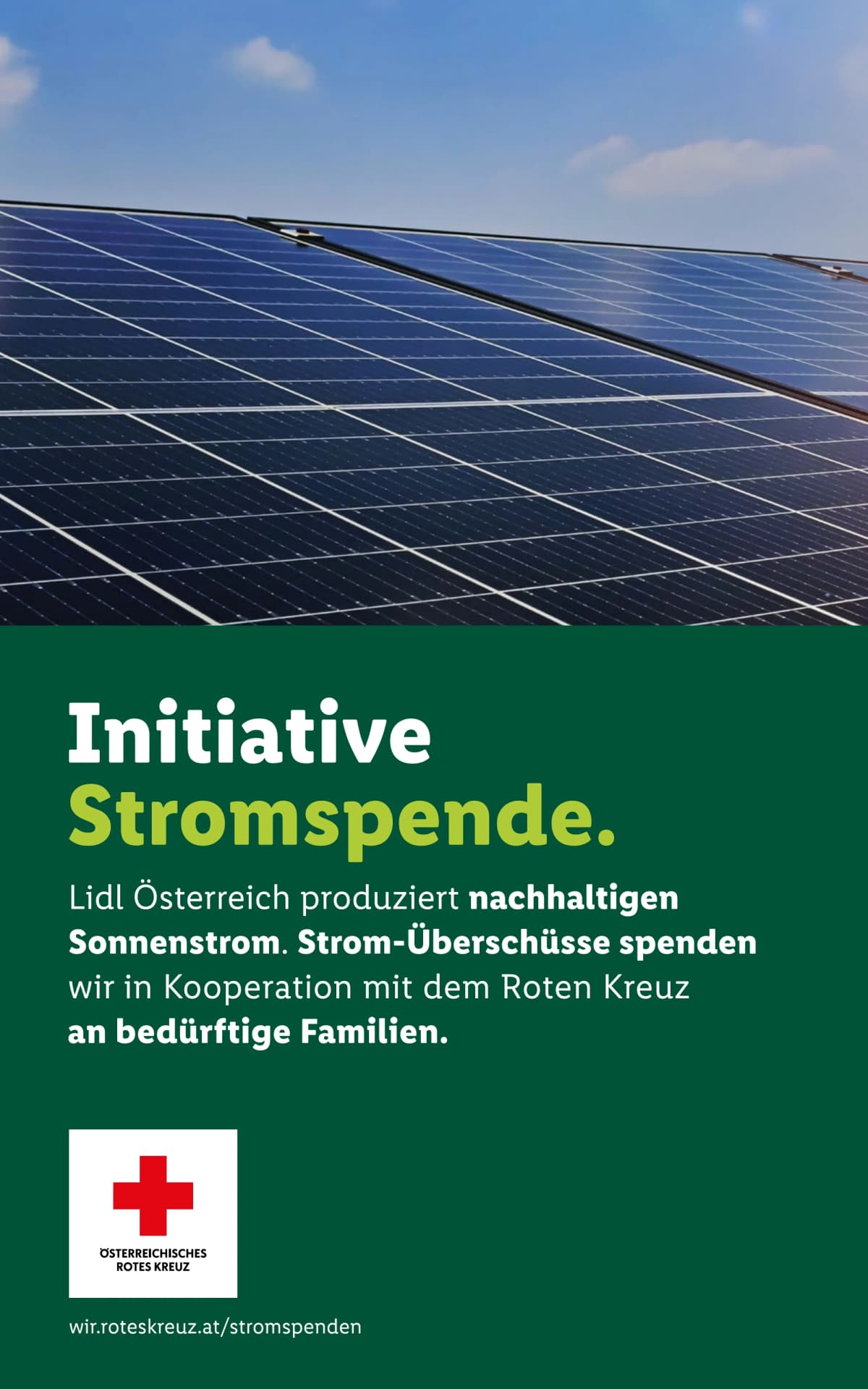 Seite 51 des Lidl Flugblatts – Aktuelle Angebote ab 23.08.2026.