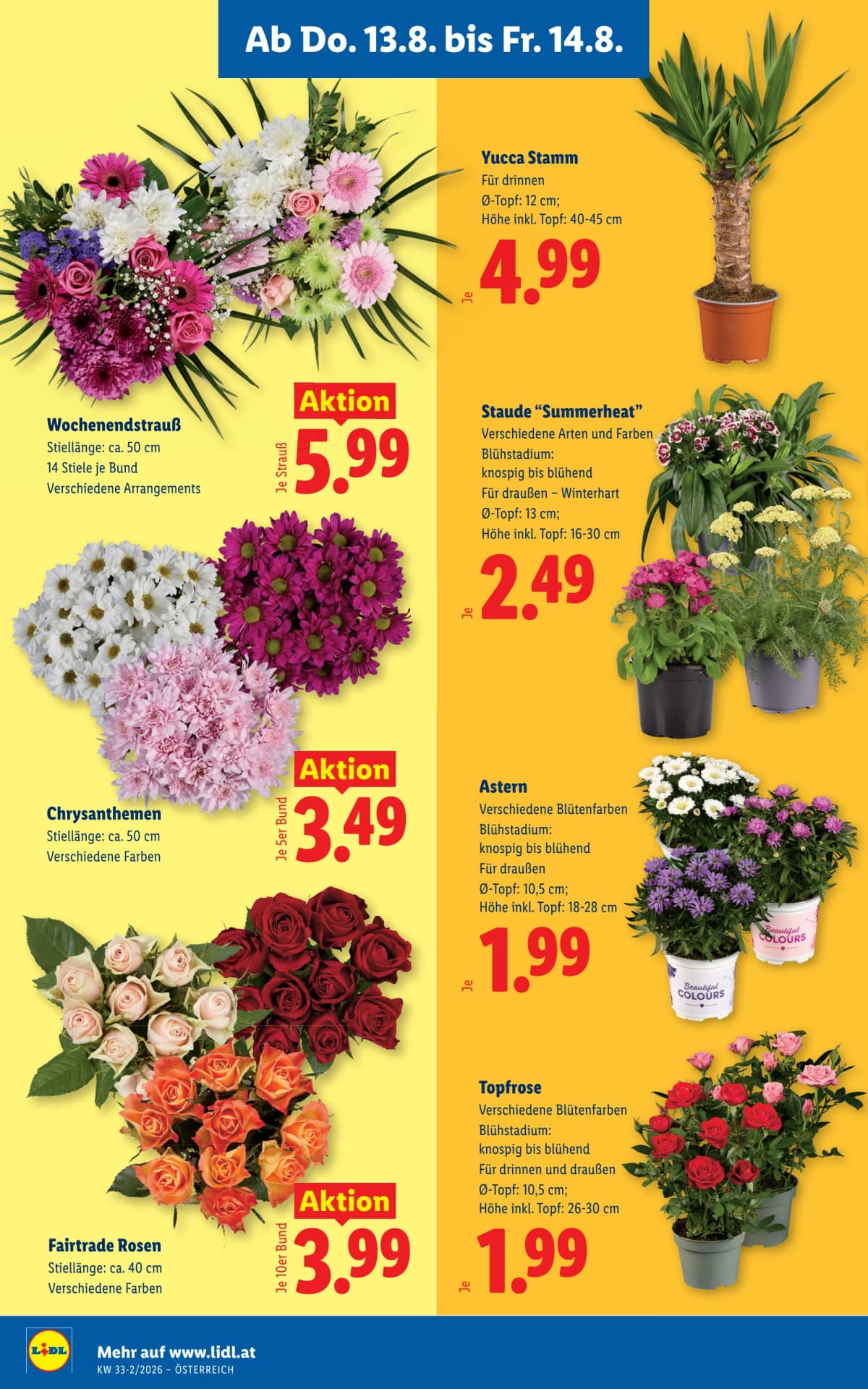 Seite 26 des Lidl Flugblatts – Aktuelle Angebote ab 23.08.2026.