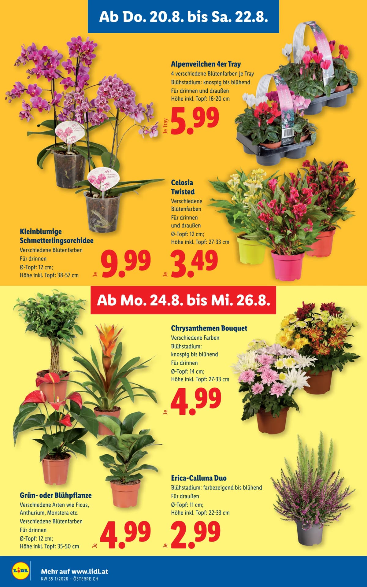 Seite 30 des Lidl Flugblatts – Aktuelle Angebote ab 23.08.2026.