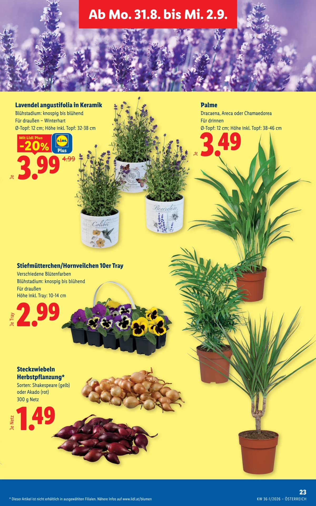 Seite 30 des Lidl Flugblatts – Aktuelle angebote