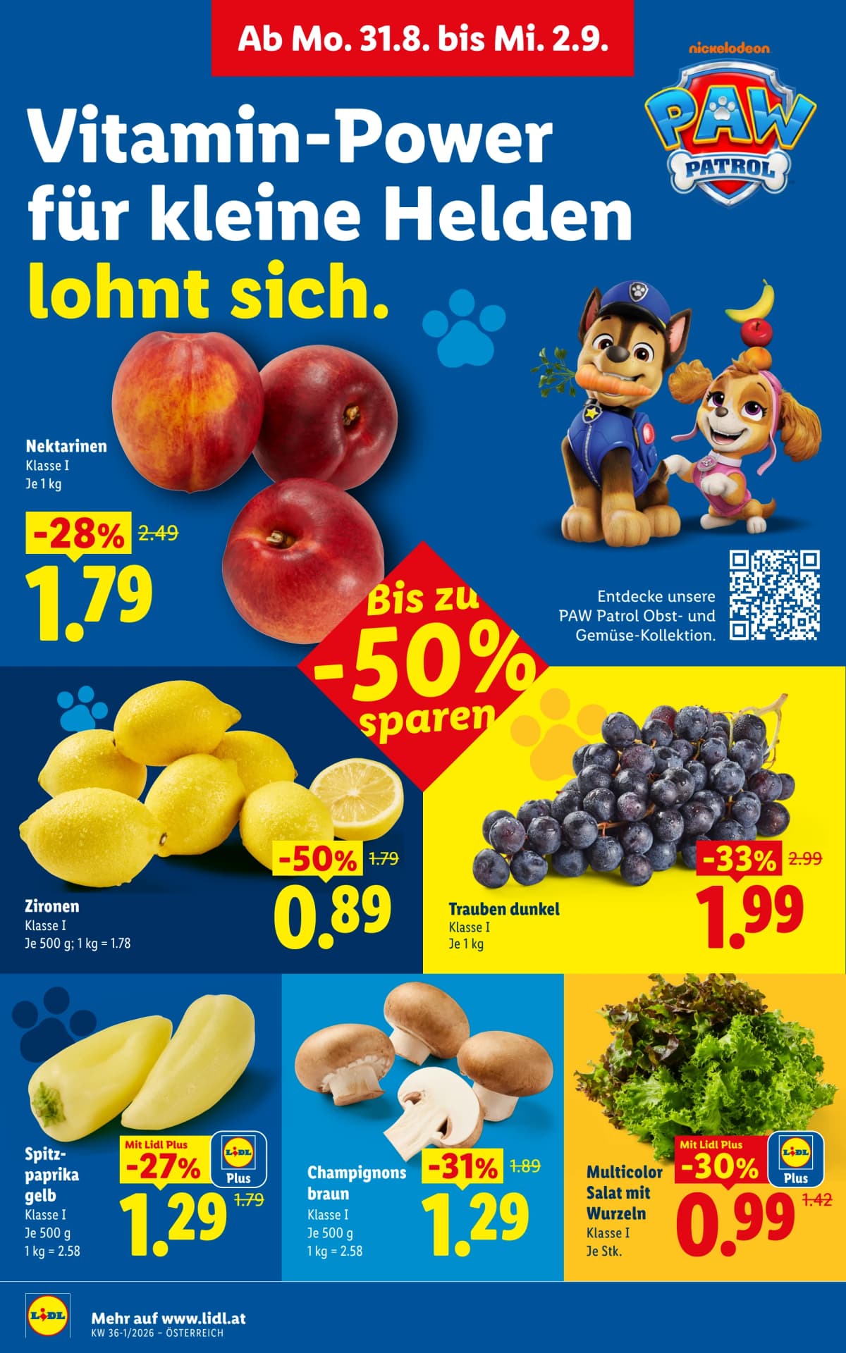 Seite 41 des Lidl Flugblatts – Aktuelle angebote