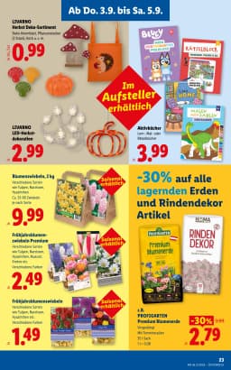 Seite 27 des Lidl Prospekts Aktuelle Angebote