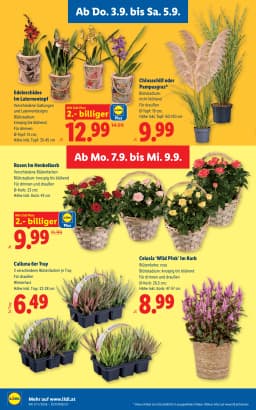Seite 28 des Lidl Prospekts Aktuelle Angebote