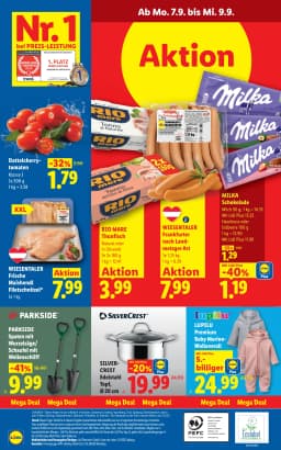 Seite 31 des Lidl Prospekts Aktuelle Angebote