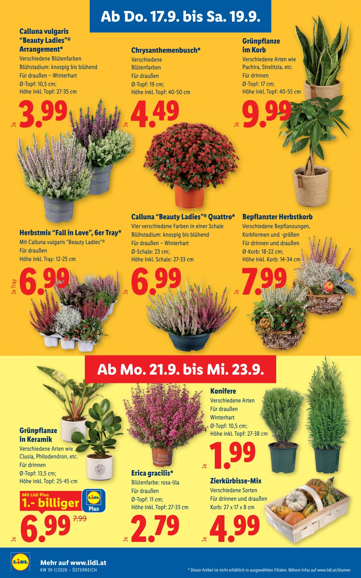 Seite 28 des Lidl Flugblatts – Aktuelle Angebote