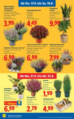 Seite 28 des Lidl Prospekts Aktuelle Angebote