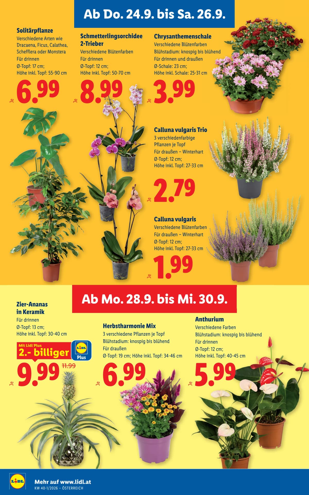 Seite 28 des Lidl Flugblatts – Aktuelle Angebote