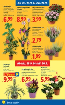 Seite 28 des Lidl Prospekts Aktuelle Angebote
