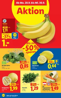 Seite 45 des Lidl Prospekts Aktuelle Angebote