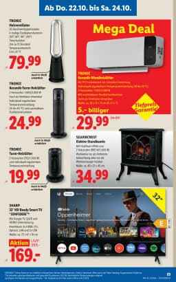 Seite 31 des Lidl Prospekts Aktuelle Angebote