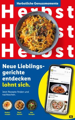 Seite 51 des Lidl Prospekts Aktuelle Angebote