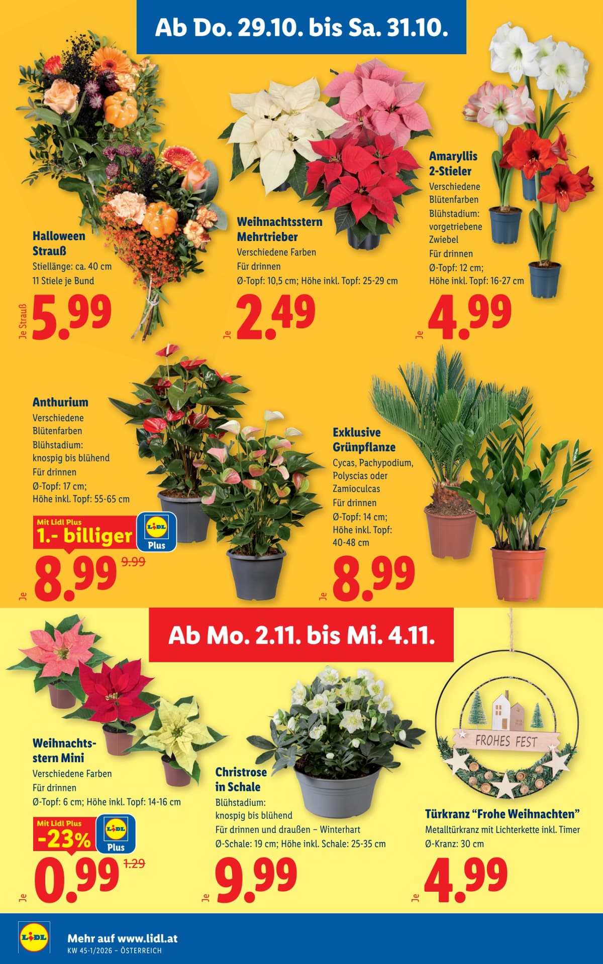 Seite 28 des Lidl Flugblatts – Aktuelle Angebote