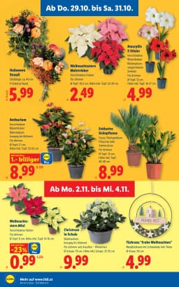 Seite 28 des Lidl Prospekts Aktuelle Angebote