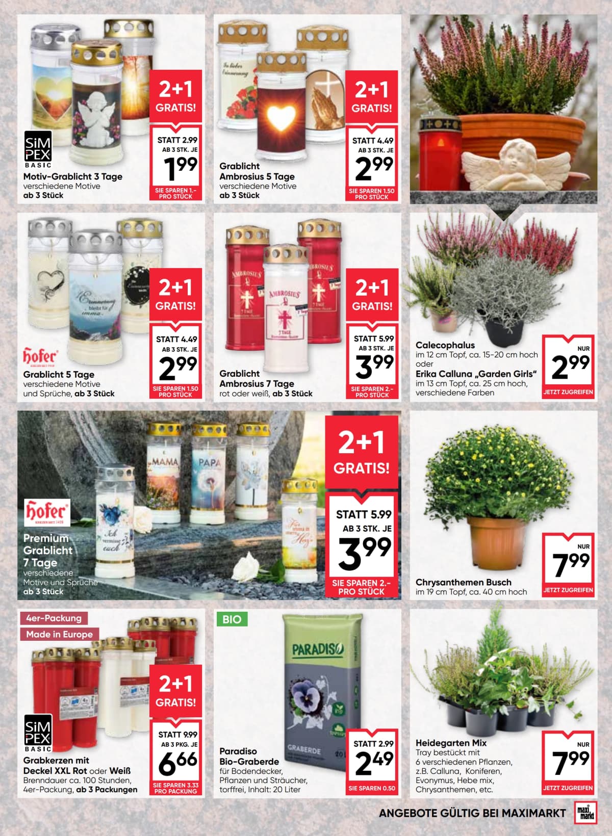 Seite 17 des Maximarkt Flugblatts – Aktuelles Flugblatt ab 08.09.2026.