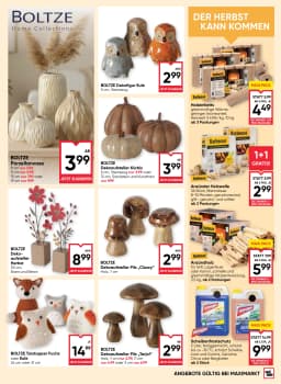 Seite 21 des Maximarkt Prospekts Aktuelles Flugblatt