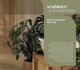 Seite 113 des Müller Prospekts Unsere Haushalts-Welt