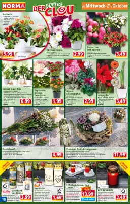 Seite 10 des Norma Prospekts Aktuelle Angebote