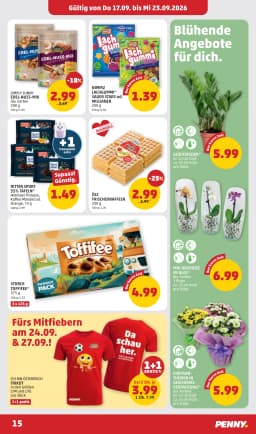 Seite 15 des Penny Prospekts Aktuelle Angebote