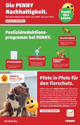Seite 36 des Penny Prospekts Aktuelle Angebote