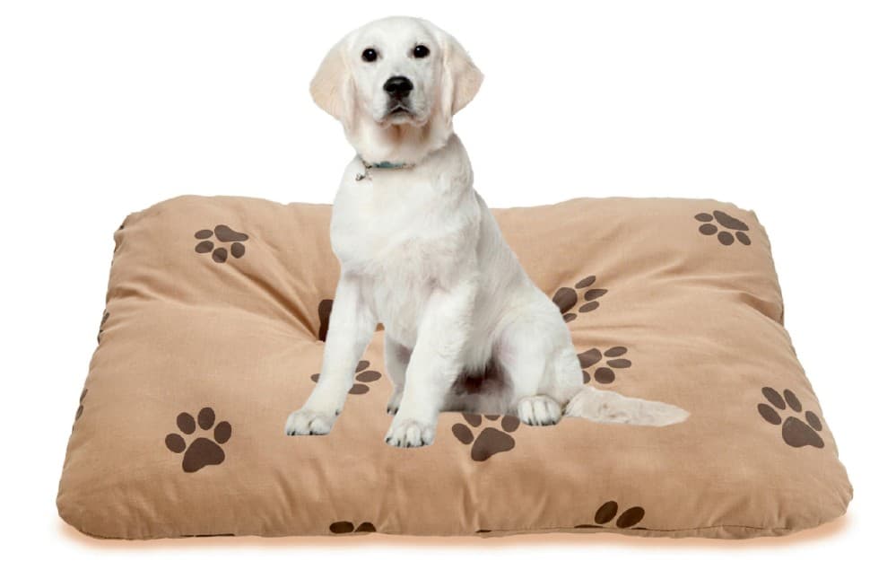 Hundekissen Sissi ca. 60x80 cm ondega Angebot bei Möbelix