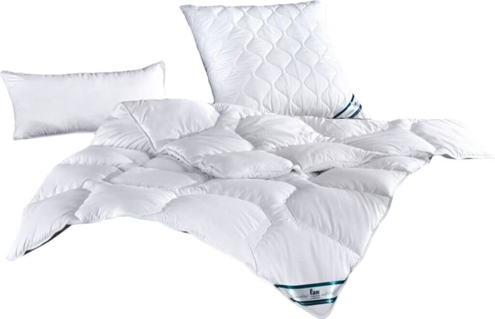 Frankenstolz Polster Kansas, 70 x 90 cm – Interspar