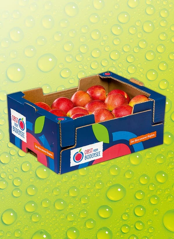 Äpfel vom Bodensee 2,5 kg Obst vom Bodensee Angebot bei Norma