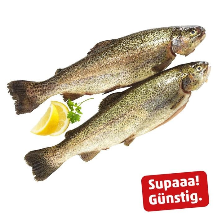 Frische Forelle ca. 700 g Angebot bei Penny