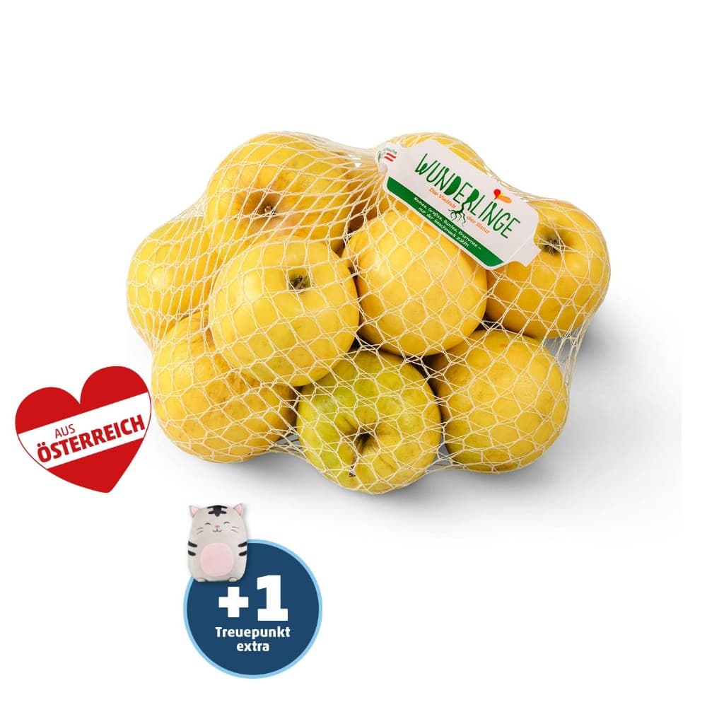 Saftige Äpfel, Kl. II 3 kg Netz Wunderlinge – Penny