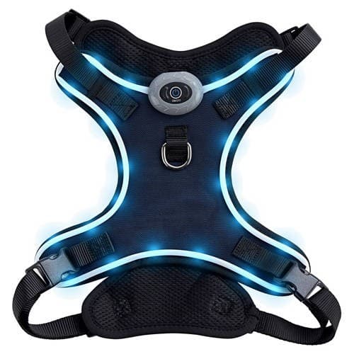 LED-Hundegeschirr Romeo – Hofer