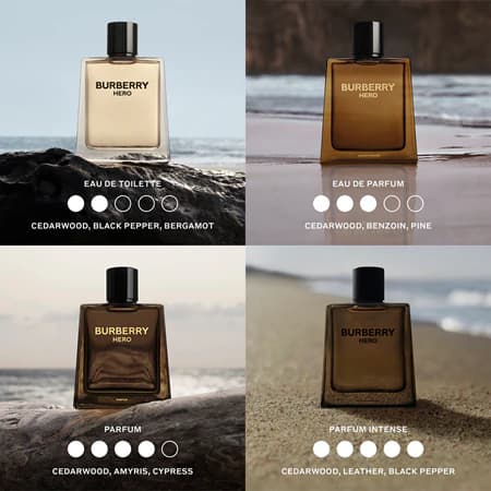 Burberry Hero Eau de Toilette 50 ml Angebot bei Müller