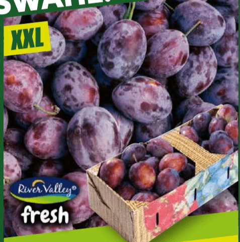 Zwetschgen 2 kg River Valley fresh Angebot bei Norma