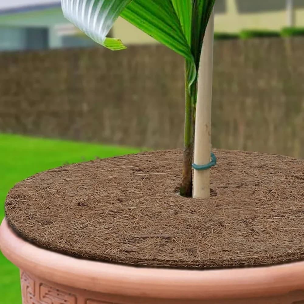 Powerfix Garden Kokos-Scheiben-Set, 3-tlg. – Norma