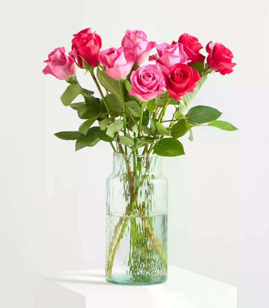 Fairtrade Rosen, 8 Stück – Interspar