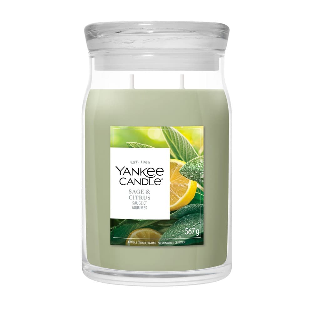 Große Signature-Duftkerze Sage & Citrus – Müller