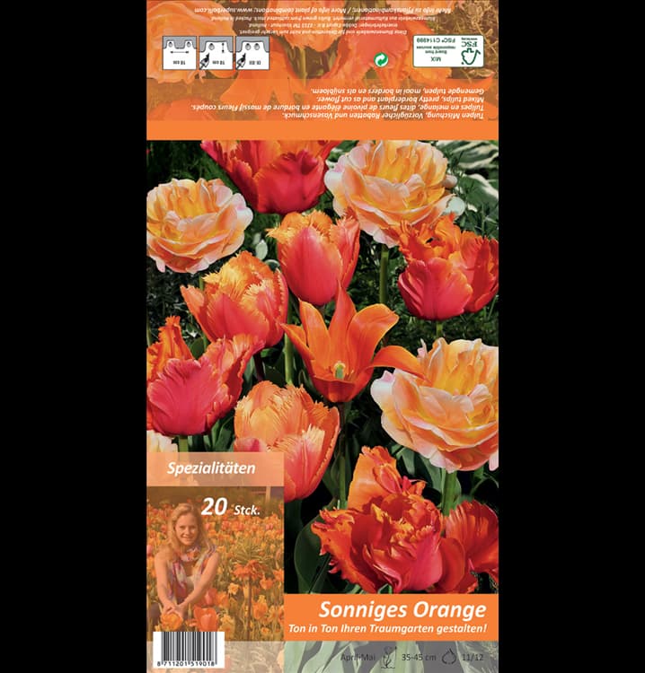 Tulpenzwiebelnmix Ton in Ton Angebot bei Lidl