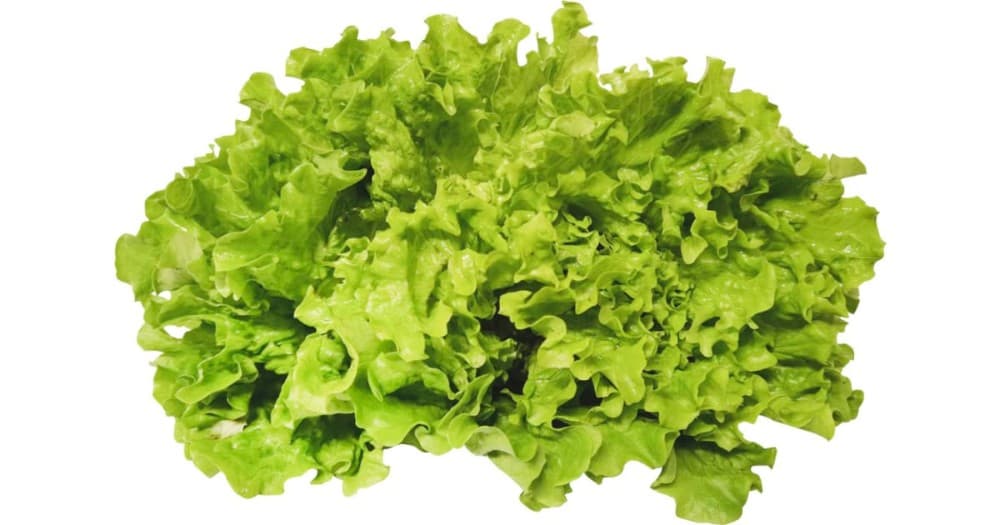 Gentile Salat – MPREIS